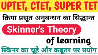 Skinner's Theory of Learning // स्किनर का चूहे और कबूतर पर प्रयोग // SHRUTI CLASSES