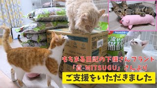 もちまる日記の下僕さんが立ち上げたブランド「貢-mitsugu」さんより保護猫物資が届きました