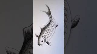 ഒരു മീനെ വരച്ചാലോ | drawing fish | #drawing #viral #drawingskill #funny #entertainment #art #drawing