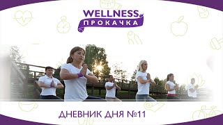 Wellness Прокачка: Дневник дня №11