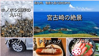 【宮古崎、ホノホシ海岸、マグロ丼】南九州奄美大島の旅#18