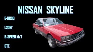 NISSAN SKYLINE E-HR30 L20ET ENGINE CRANKING TEST MOVIE