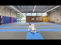 yamato nage kata école yamato kan karaté do