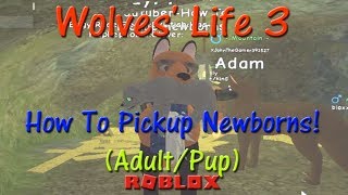 How To Get The Cuddles The Egg Wolves Life Beta Roblox Egg Hunt