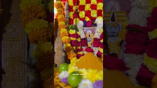 Komuraveli Mallanna Satti varam || Mallanna pooja #mallanna mallanna song #shorts