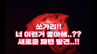 용글러의 낚시 일기 #15 ( 홍천강 쏘가리 New패턴! )