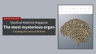 A look at the brain – "The most mysterious organ" | Stanford Medicine Magazine