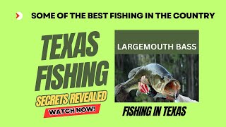 Texas Fishing: Top Destination for Angling in the USA!