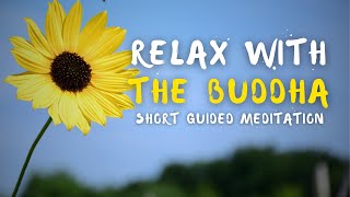 Relax with The Buddha | Meditation Guided by Sister Dao Nghiem
