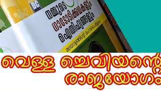 മലയാളം നാടോടിക്കഥ- വെള്ള ച്ചെവിയന്റെ രാജയോഗം Malayalam Nadodikkatha. #MalayalamFolkloreStory