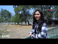 jallo park jheel main anchor nay ki kashti rani ki sair discover pakistan tv