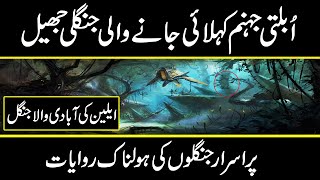 Unexplained Mysteries of Jungles Around The World || urdu cover