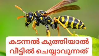 കടന്നൽ കുത്തിയാൽ വീട്ടിൽ ചെയ്യാവുന്ന വീട്ടുവൈദ്യം 🐝🐝🐝How to treat wasp bite#Home remedy wasp bite