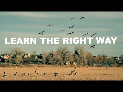 BEST goose calling tips for beginners BEST goose calling tips for beginners