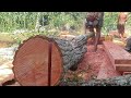 Process of Making 4X20 CM Wood with Assembled Chainsaw