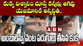 కుక్క విశ్వాసం చూస్తే కన్నీళ్లు ఆగవు 🐕😭 | Dog chases ambulance carrying Sick owner to hospital | ABN