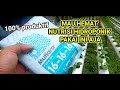 nutrisi alternatif Hidroponik super hemat