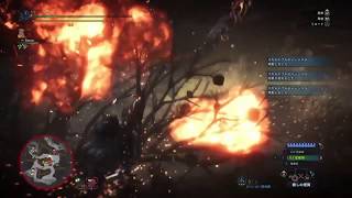 【MHW】歴戦王ヴァルハザク ヘビィボウガンソロ（アンフィニグラ・拡散弾） 4'55\