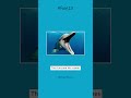 dolphine names quick facts 13 dolphines fact education speed knowledge quickfacts