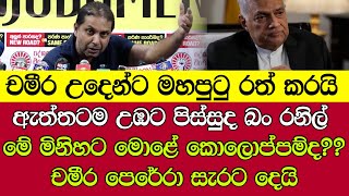 🔴ඇත්තටම උඹට පිස්සුද බං රනිල් - මේ මිනිහට මොළේ කොලොප්පම්ද??චමීර පෙරේරා සැරට දෙයි