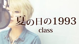 【065】夏の日の1993/class (歌詞付き) covered by SKYzART