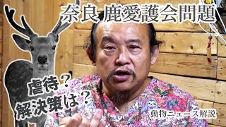 【奈良 鹿愛護会問題】虐待？解決策は？