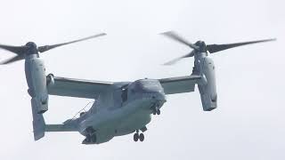 V-22 オスプレイ　館山初飛来