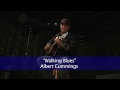 Albert Cummings - Walking Blues