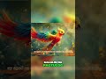 the enchanted bird the legend of ibong adarna disney pinoystory motivation