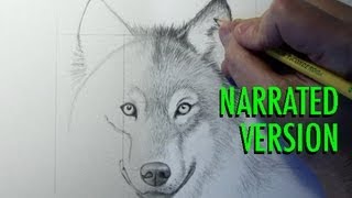 How to Draw a Wolf (Narrated)