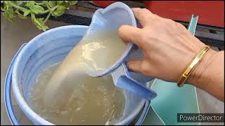 How to make \u0026 use power packed low cost  fertilizer//Most important activity for gardeners in Feb