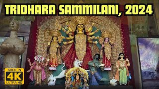 ত্রিধারা সম্মিলনী দূর্গা পূজা 2024 | TRIDHARA SAMMILANI DURGA PUJA | DURGA PUJA 2024