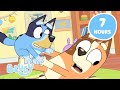 🔴LIVE: EVERY BEST MOMENT from Bluey Series 3! 💙 | Best Bluey Moments from Season 3 | Bluey