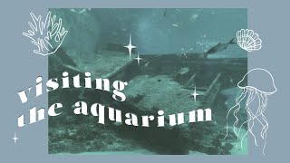 A Trip To The Aquarium 🐟 | Vlog