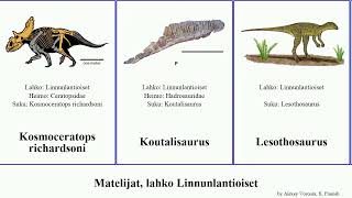 Matelijat, lahko Linnunlantioiset occidentalis reptilia africanus Nipponosaurus Psittacosaurus