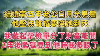 結婚第五年老公白月光患癌，他堅決離婚要陪她到死，我藏起孕檢單分了財產離開，2年後在監獄見到他時我傻眼了