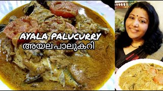 കൊച്ചിക്കാരുടെ  അയല പാലുകറി  | KOCHI STYLE AYALA PALUCURRY (MACKEREL FISH) |