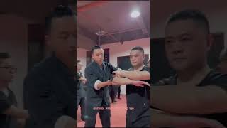 Master Tu Tengyao | Arts of Fighting