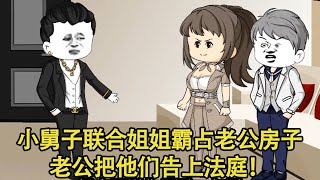 小舅子联合姐姐霸占姐夫的房子，百般劝阻无果后，直接把姐弟俩告上法庭！【艳春动画】