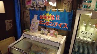 Quick Walk Tour of Ramen Museum at Shin-Yokohama