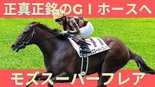 【解説】モズスーパーフレア 正真正銘のGⅠホースへ！