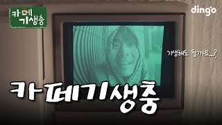 [카페기생충] 띵-동🔔 딩고에 기생하러 왔습니다ㅣ딩고뮤직ㅣDingo Music