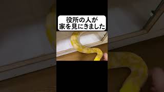 役所の人が家を見にきました