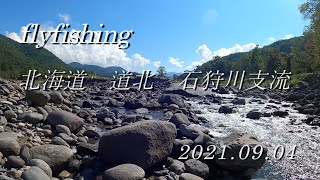 北海道　道北　石狩川支流　フライフイシング