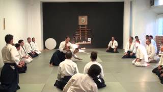 Juba Nour Shihan - Hellenic Birankai - May 2014 - Part 01 HD