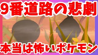 【ポケモンソードシールド】怖い！夜中にさらっていく！？このポケモンがいないとは！ソード図鑑埋め！