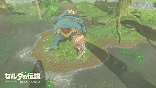 【ゼルダの伝説BotW】ヒノックス兄弟(次男)：テルメ山【戦闘#36】