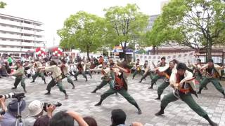 2016犬山踊芸祭（犬山駅東広場）【宴屋】