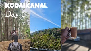 💢 KODAIKANAL TRAVEL VLOG // GUNA CAVE // DOLPHIN NOSE // TRAVEL GUIDE 💢