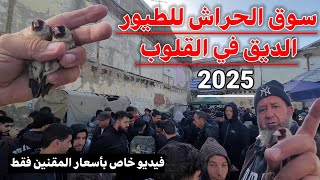 🔴 سوق الحراش للطيور 2025 : المتعة لا تنتهي .. فيديو خاص بأسعار المقنين الزين فقط / الحسون الحراشي !؟